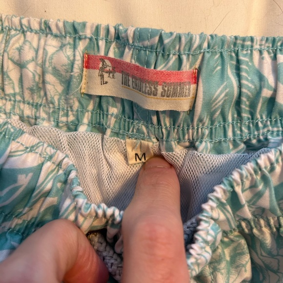 The Endless Summer Swim Shorts - Picture 3 of 3